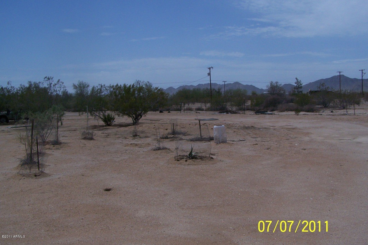 3466 North Ralston Road Maricopa, AZ 85139 - Photo 3 of 13 backyard