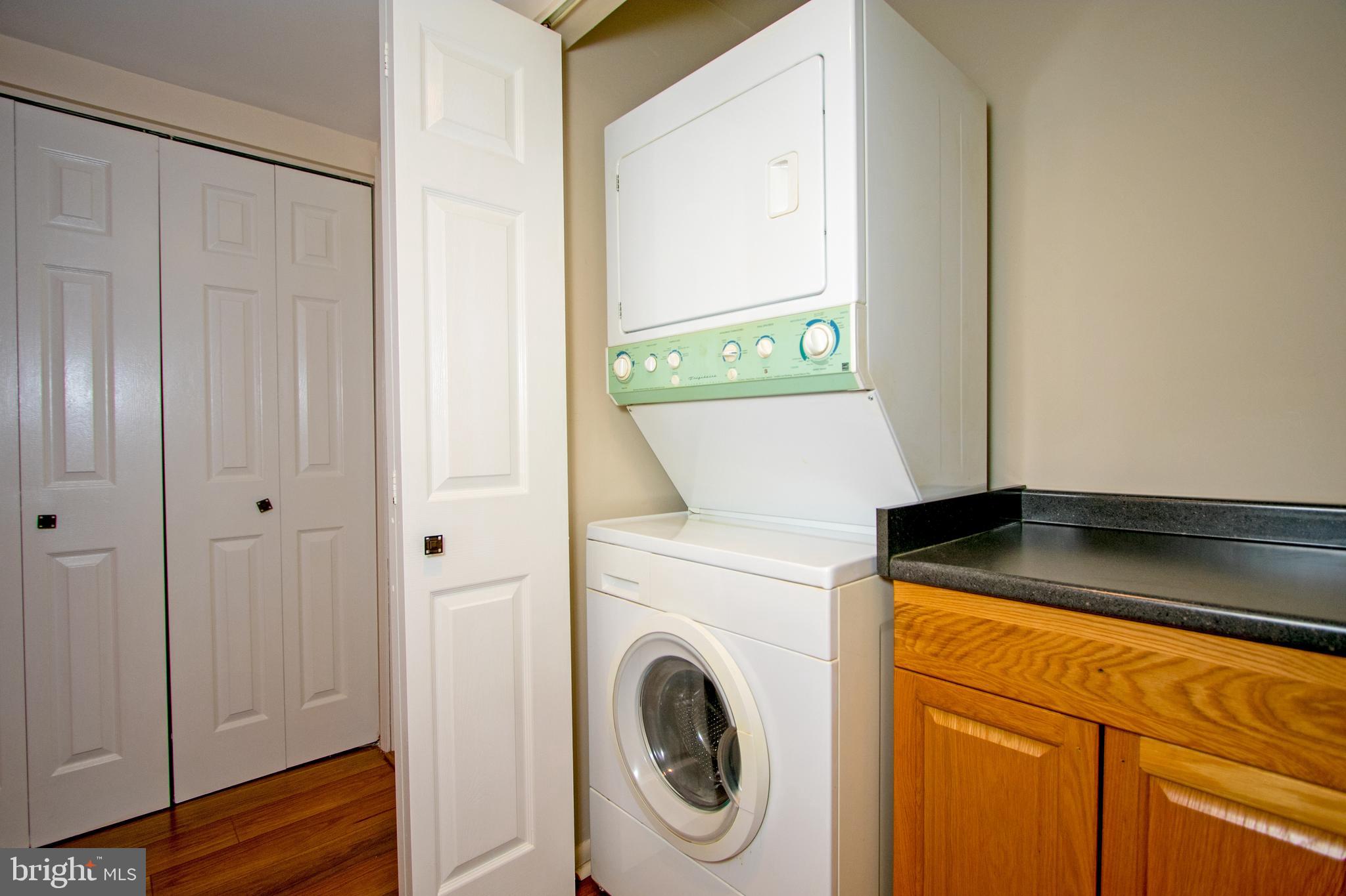 161 Valley Stream Lane Chesterbrook, PA 19087 - Photo 16 of 28 In Unit Laundry with Storage