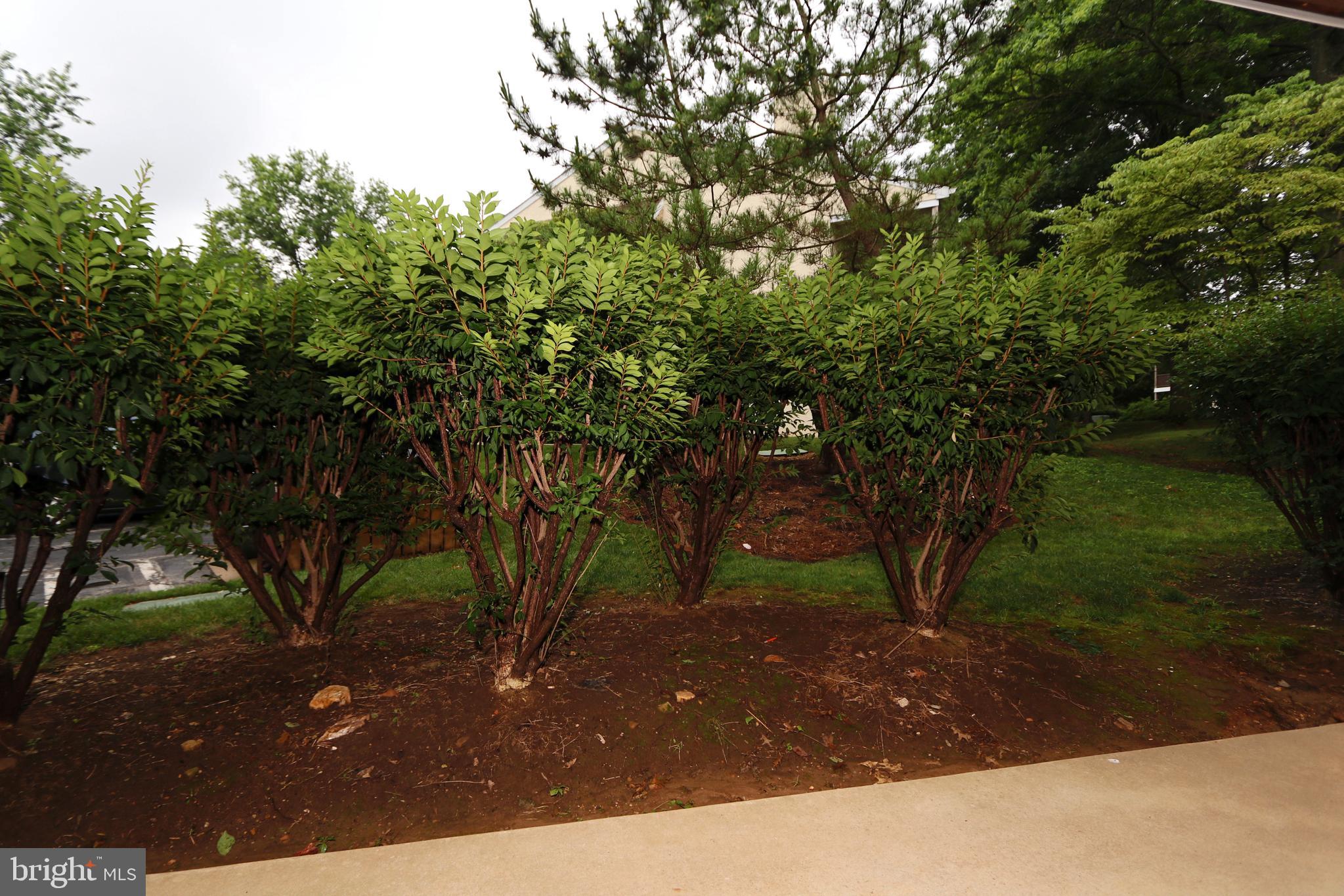 161 Valley Stream Lane Chesterbrook, PA 19087 - Photo 24 of 28 View from Porch