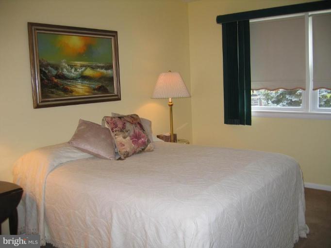 15006 Rolling Ridge Road Haymarket, VA 20169 - Photo 11 of 22 Bedroom #2