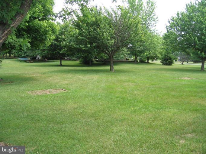 15006 Rolling Ridge Road Haymarket, VA 20169 - Photo 15 of 22 Huge Side Lot with Horseshoe Pit