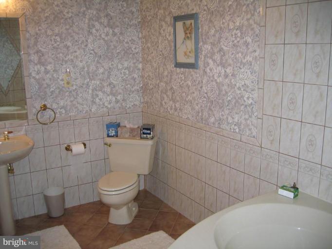 15006 Rolling Ridge Road Haymarket, VA 20169 - Photo 19 of 22 Enormous basement bathroom w/huge jacuzzi tub