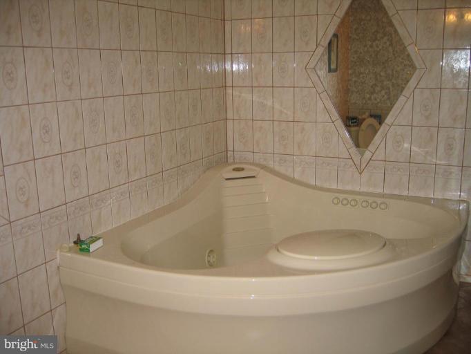 15006 Rolling Ridge Road Haymarket, VA 20169 - Photo 20 of 22 Huge Jacuzzi Tub in Basement Bath