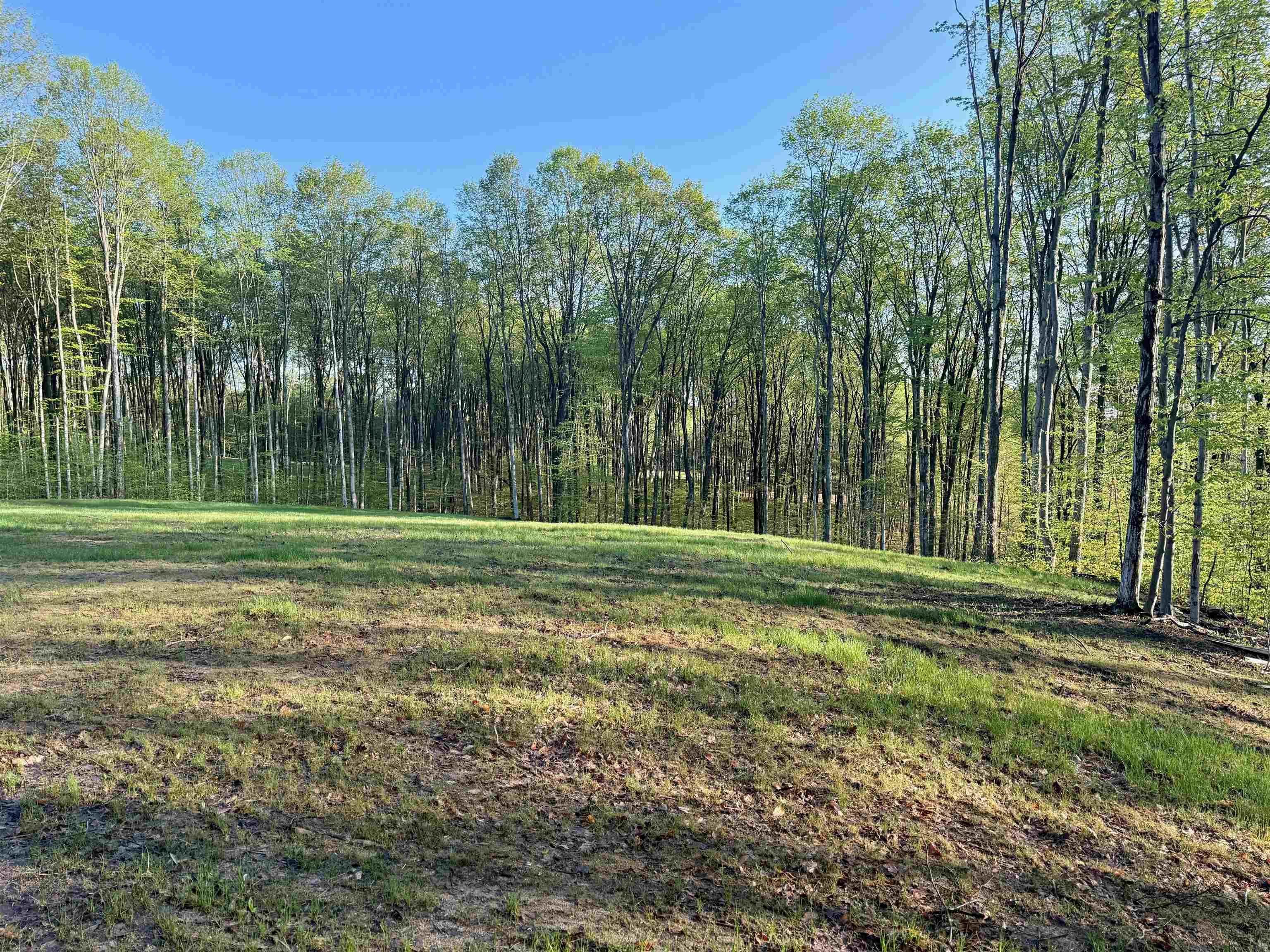 1 South Bright Road, Unit LOT: 1 Maple City, MI 49664 - Photo 5 of 11