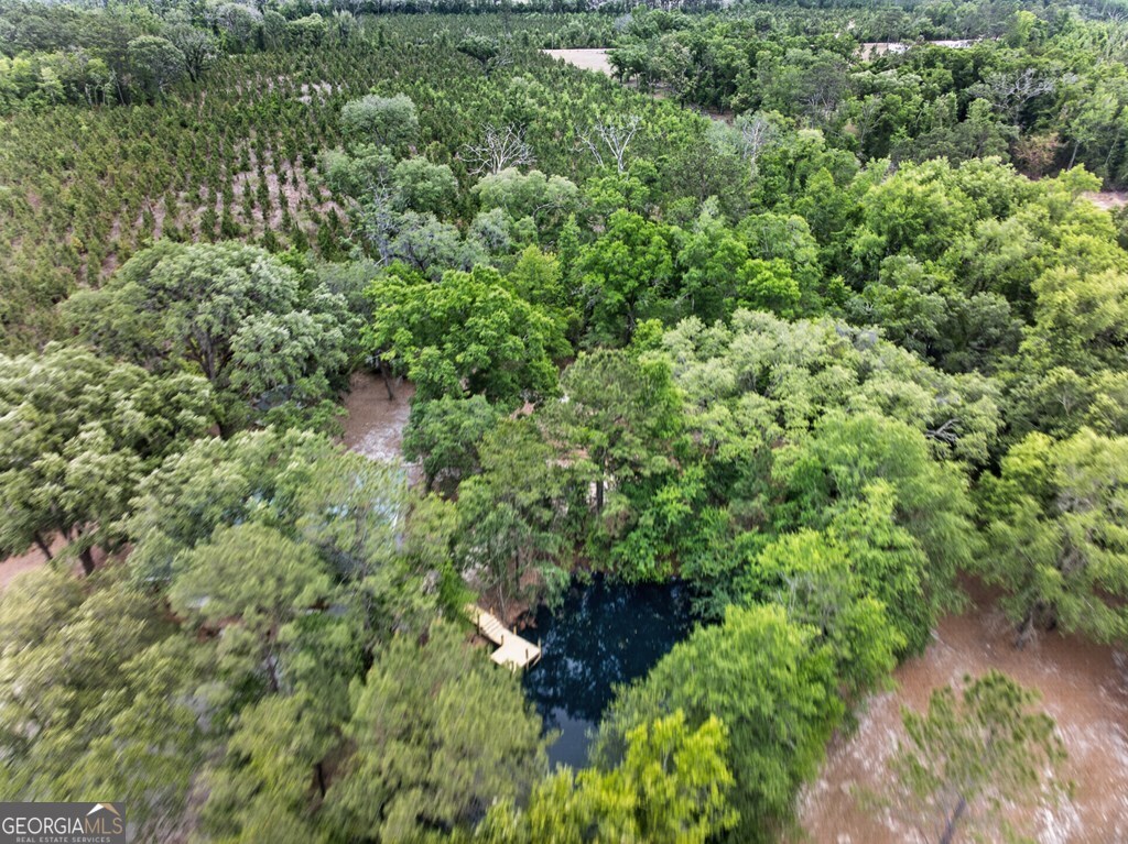 5781 Adams Road Valdosta, GA 31601 - Photo 9 of 27 an aerial view of residential house with outdoor space and trees all around