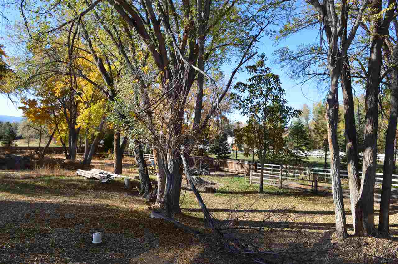 737 25 Road Grand Junction, CO 81505 - Photo 18 of 21 a view of yard with trees