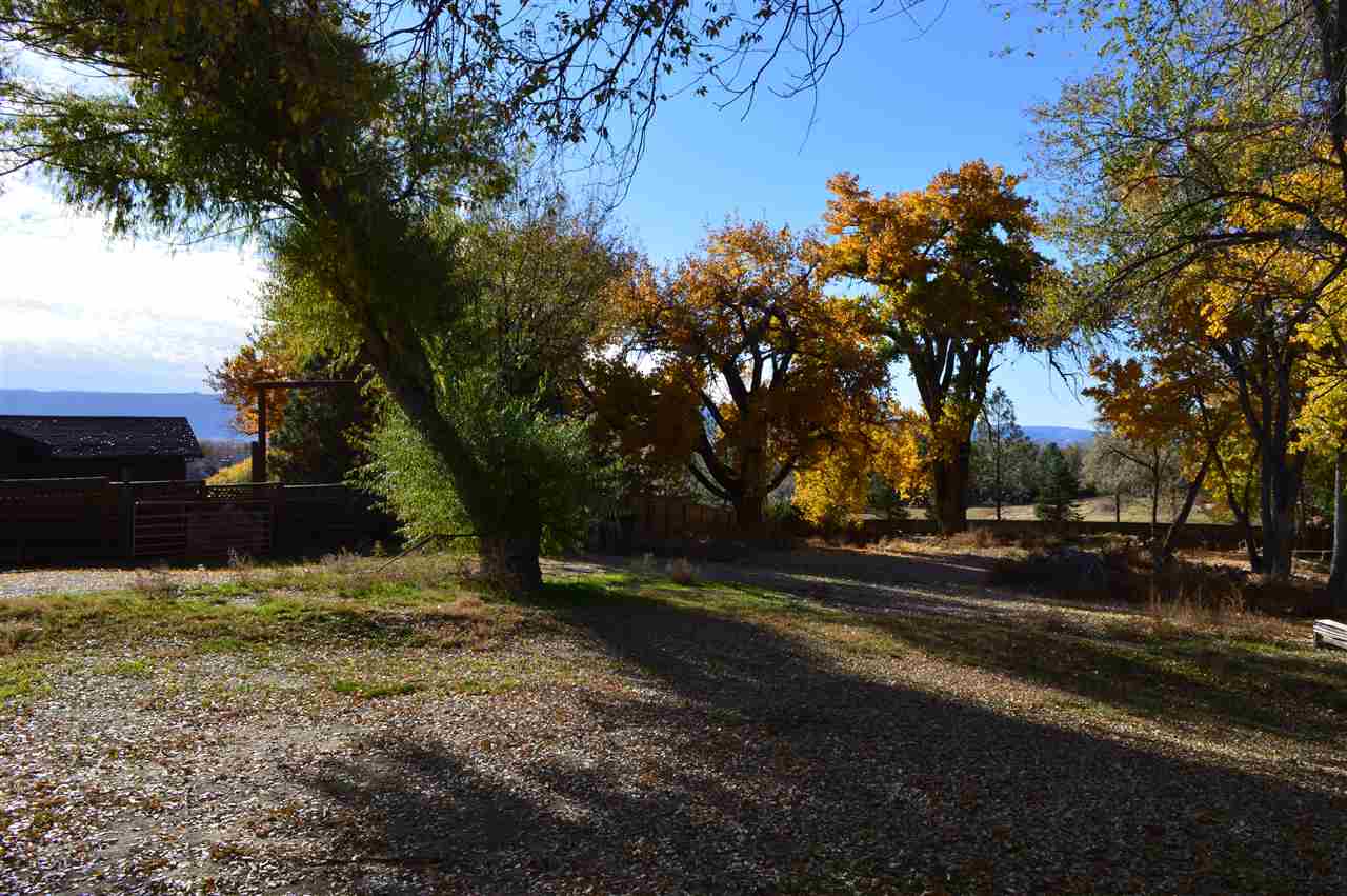 737 25 Road Grand Junction, CO 81505 - Photo 19 of 21 a view of dirt yard