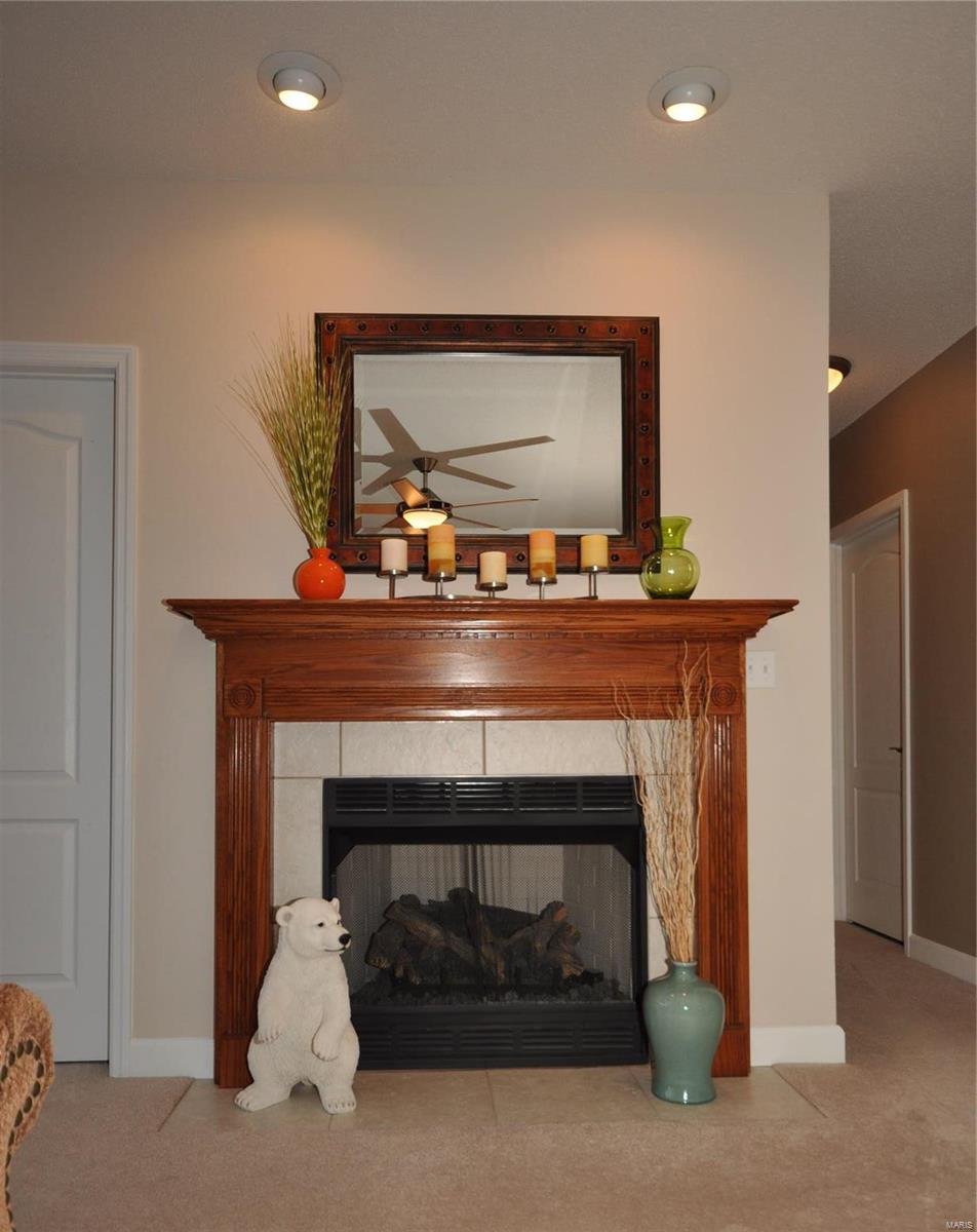 2213 Steinkoenig School Road Highland, IL 62249 - Photo 31 of 47 Gallery Image 31