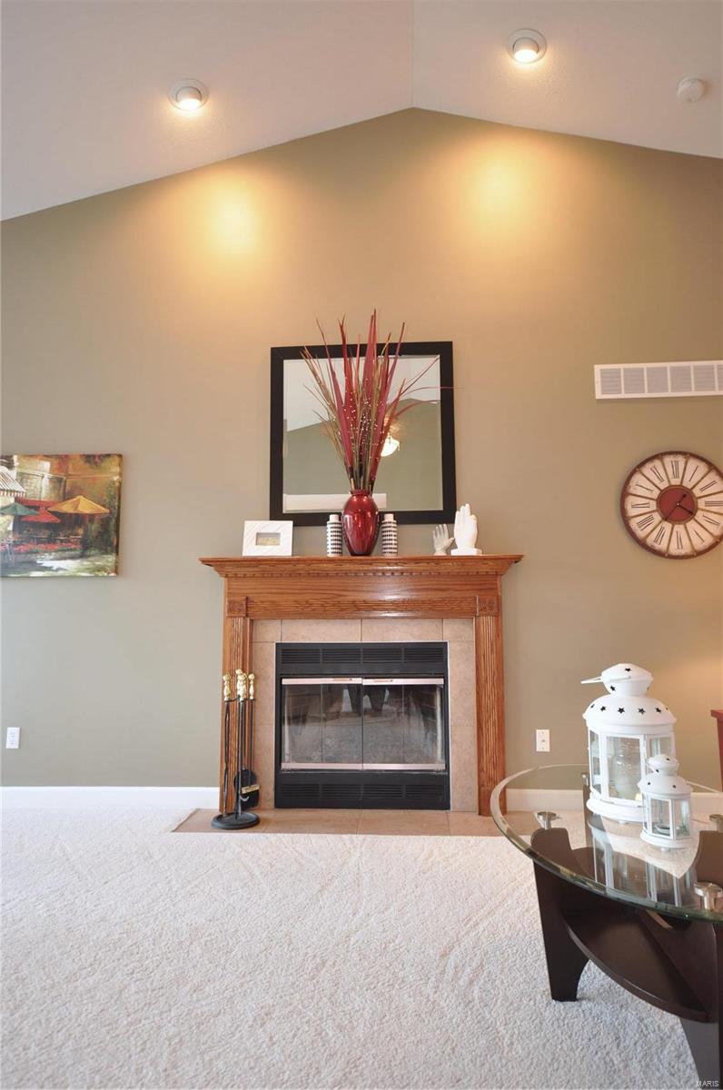 2213 Steinkoenig School Road Highland, IL 62249 - Photo 9 of 47 Gallery Image 9
