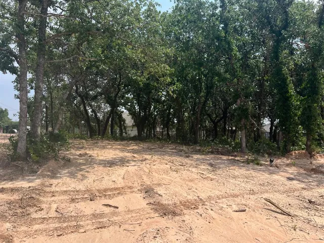 a view of a yard with trees