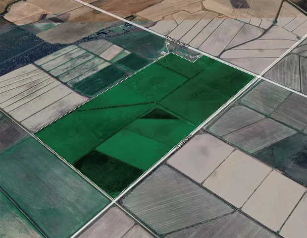 a view of a balcony with a garden