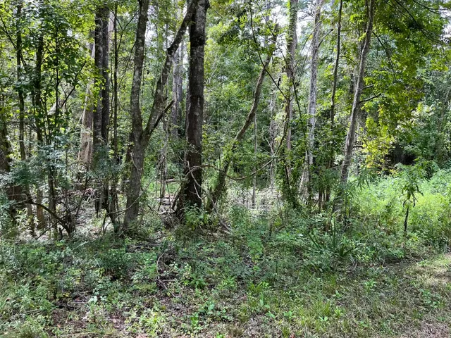 $125,000 | Xxxx Jetty Avenue, Quincy, FL 32351