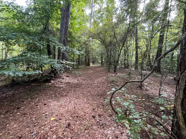 $125,000 | Xxxx Jetty Avenue, Quincy, FL 32351