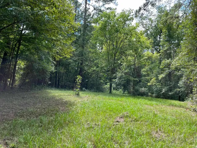 $125,000 | Xxxx Jetty Avenue, Quincy, FL 32351