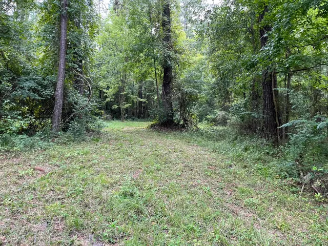 $125,000 | Xxxx Jetty Avenue, Quincy, FL 32351