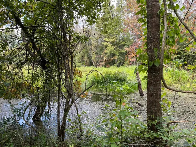 $125,000 | Xxxx Jetty Avenue, Quincy, FL 32351