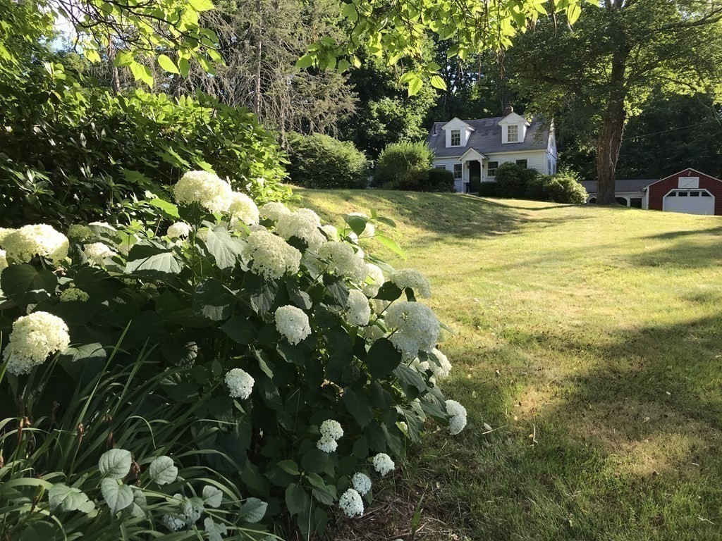 122 Boston Road Chelmsford, MA 01824 - Photo 3 of 29