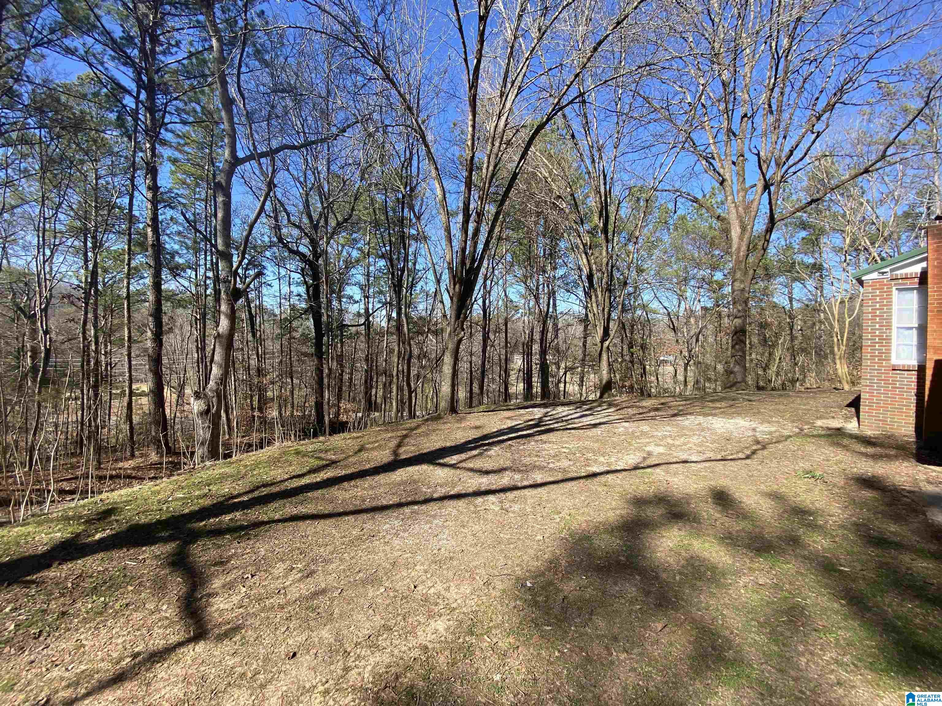 524 Highway 204 Ohatchee, AL 36271 - Photo 8 of 42