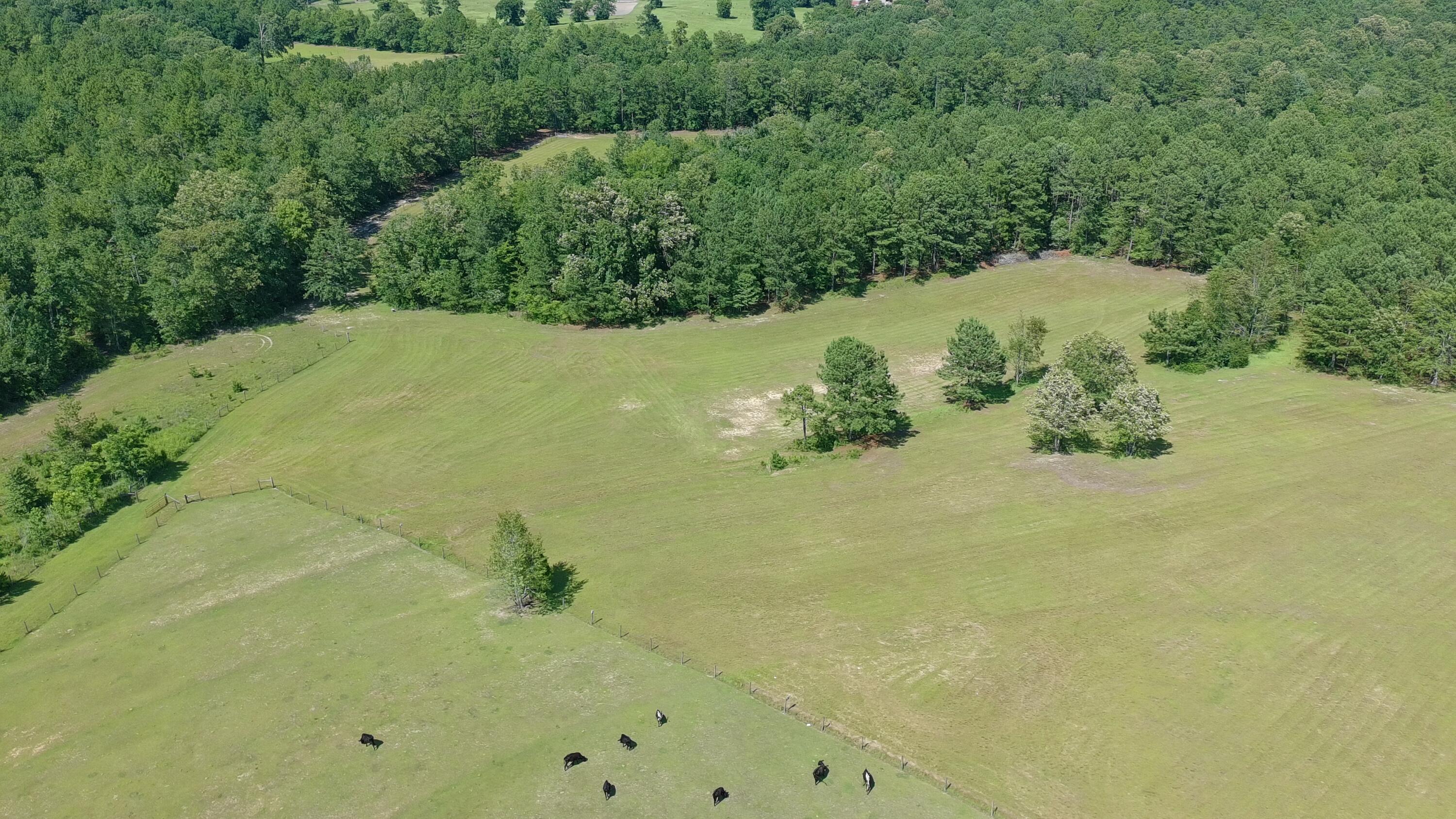 41-acres Whiskey Road Aiken, SC 29803 - Photo 15 of 44