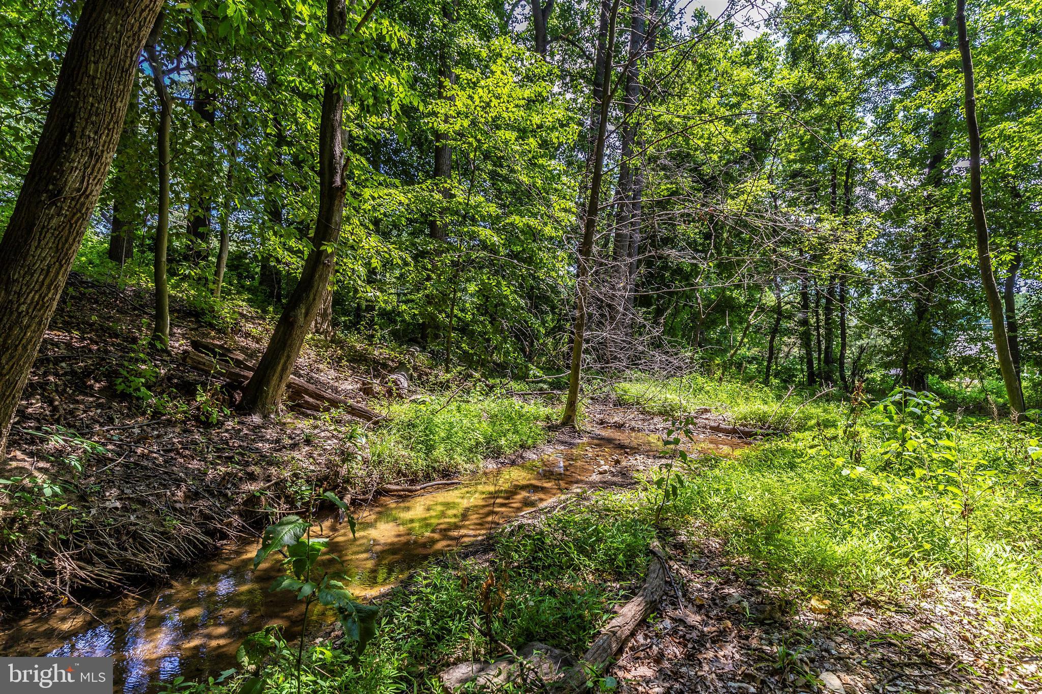 6250 Mt Phillip Road Frederick, MD 21703 - Photo 62 of 79 Creek / Stream