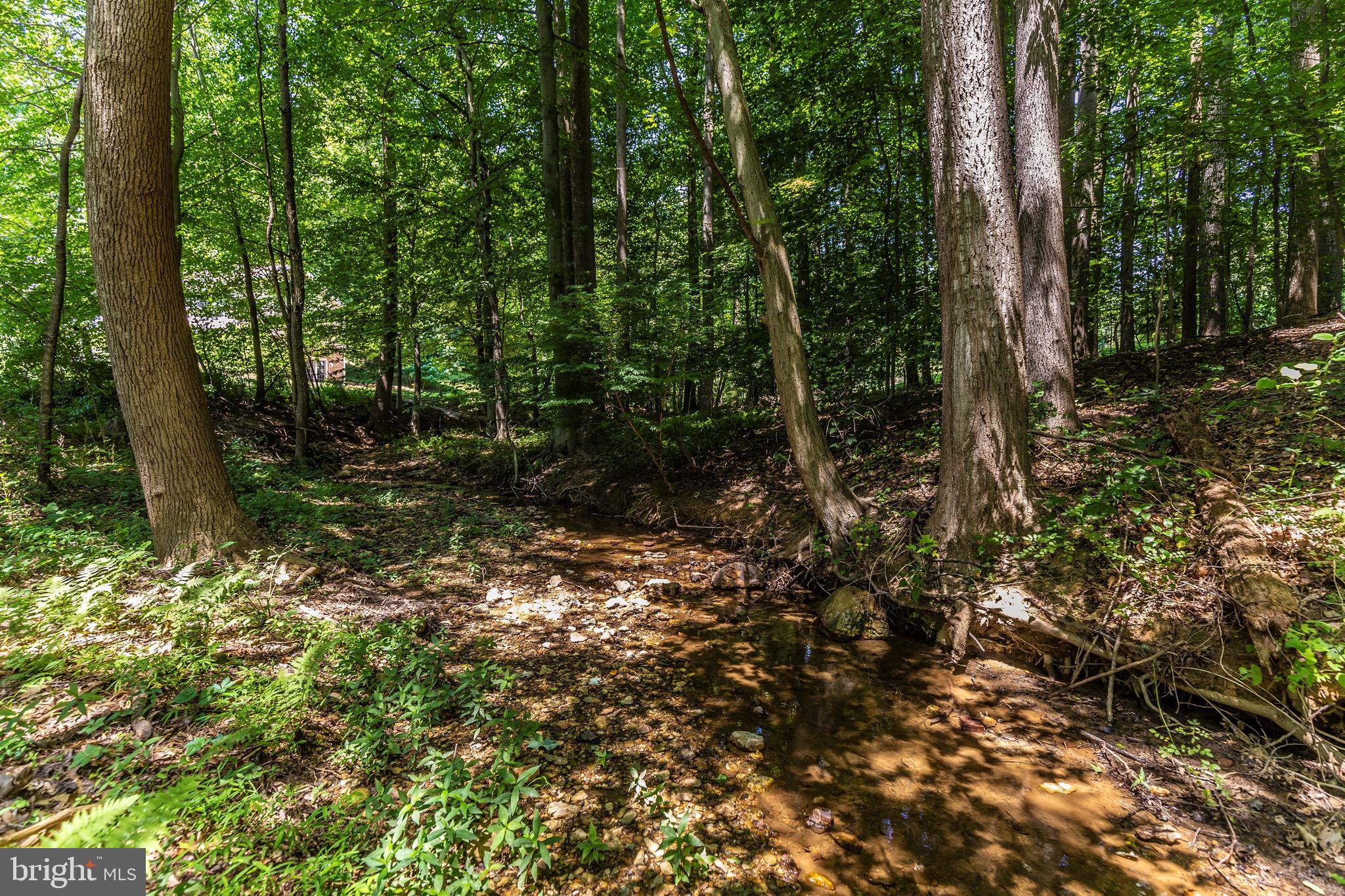 6250 Mt Phillip Road Frederick, MD 21703 - Photo 63 of 79 Lot