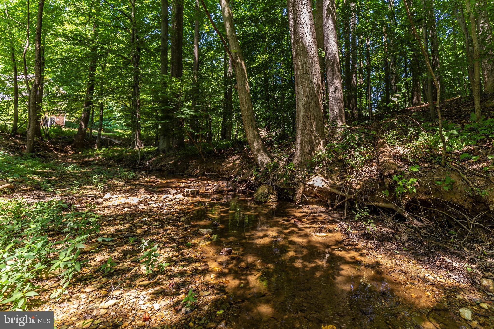 6250 Mt Phillip Road Frederick, MD 21703 - Photo 64 of 79 Lot