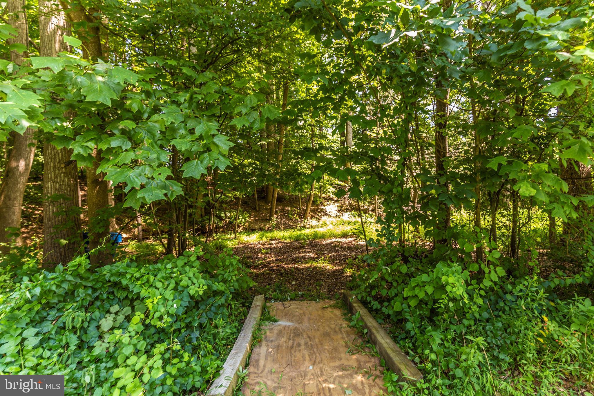6250 Mt Phillip Road Frederick, MD 21703 - Photo 65 of 79 Lot