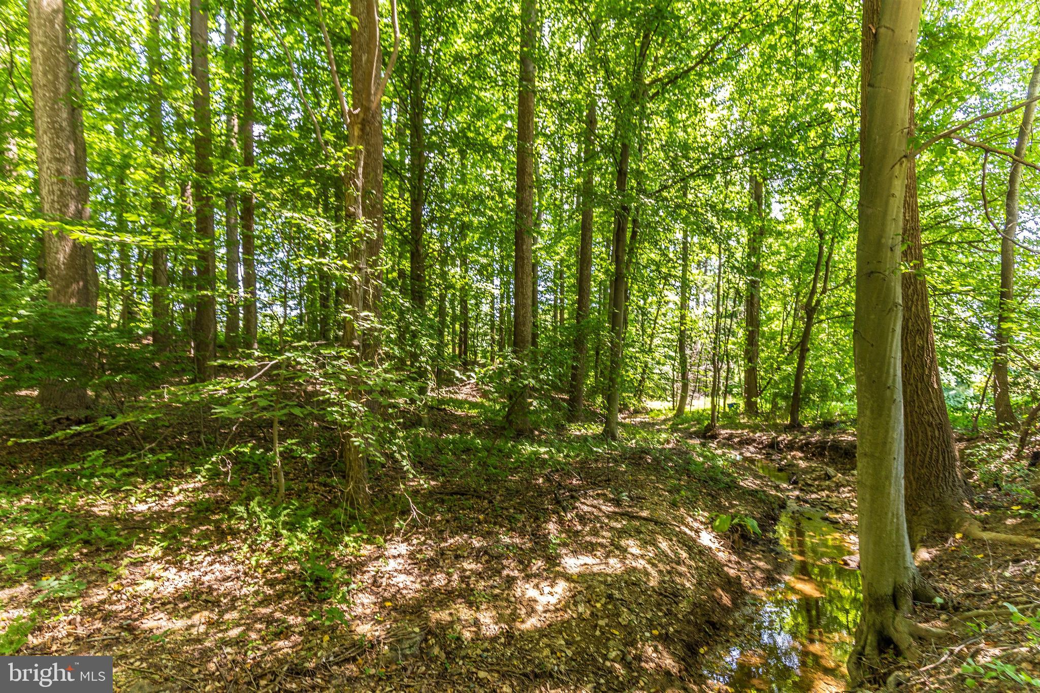 6250 Mt Phillip Road Frederick, MD 21703 - Photo 66 of 79 Creek / Stream