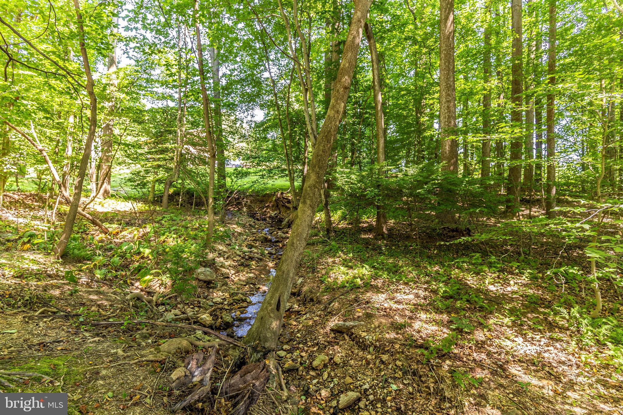 6250 Mt Phillip Road Frederick, MD 21703 - Photo 67 of 79 Creek / Stream