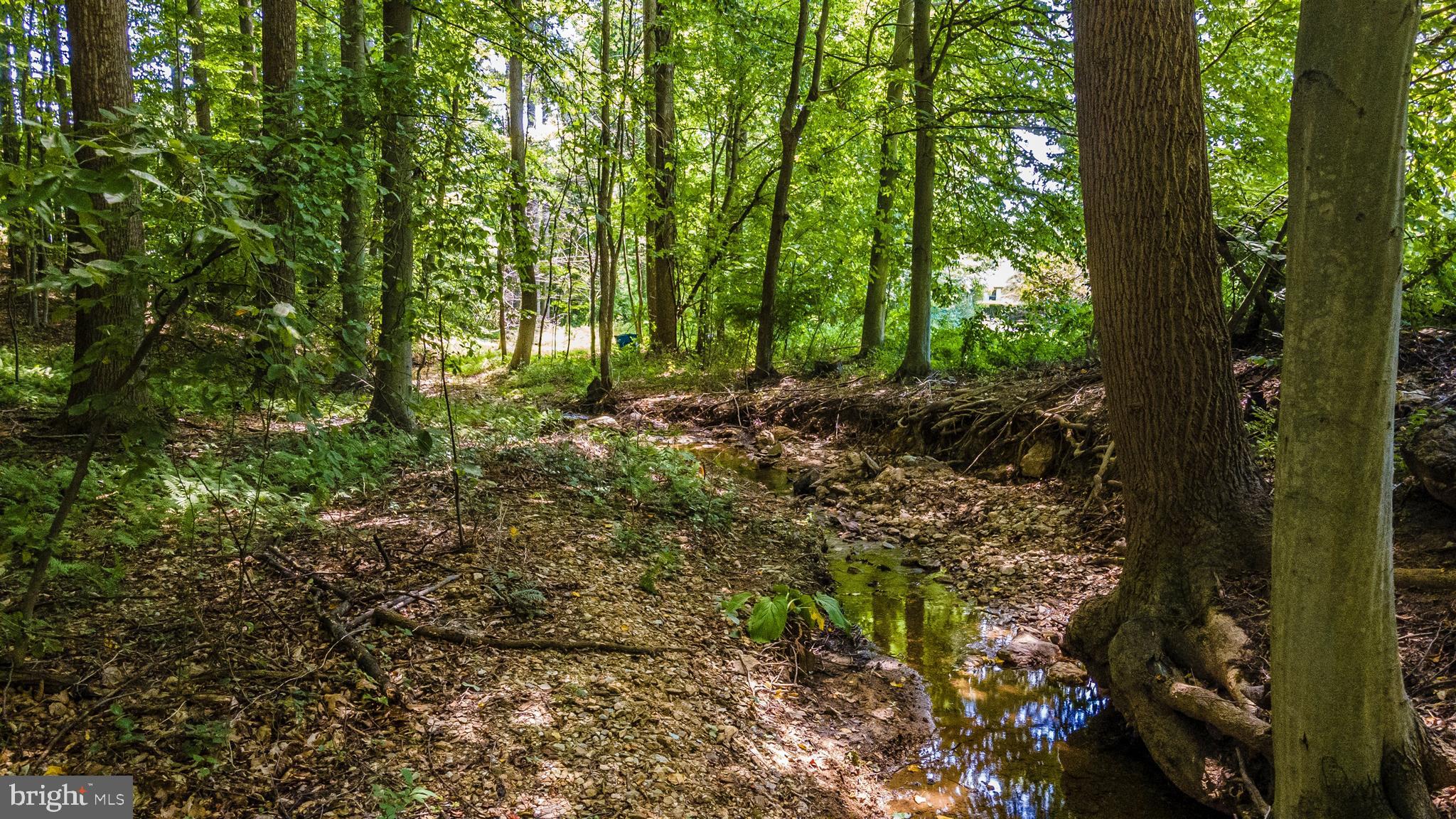 6250 Mt Phillip Road Frederick, MD 21703 - Photo 78 of 79 Gallery Image 78