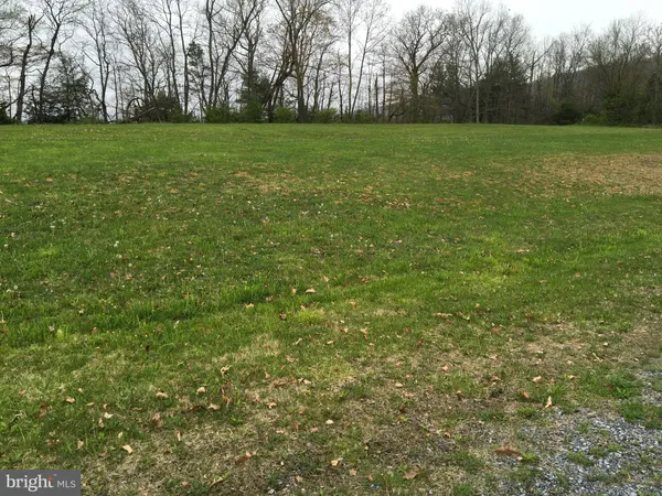 a view of a grassy field with trees in the background