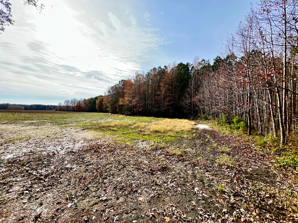 Lot 11 Pungoteague Road, Unit 11 Melfa, VA 23410 - Photo 4 of 7