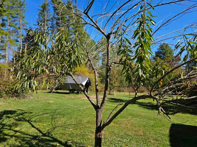 $280,000 | 818 Davidson Hill Road, Chester, VT 05143