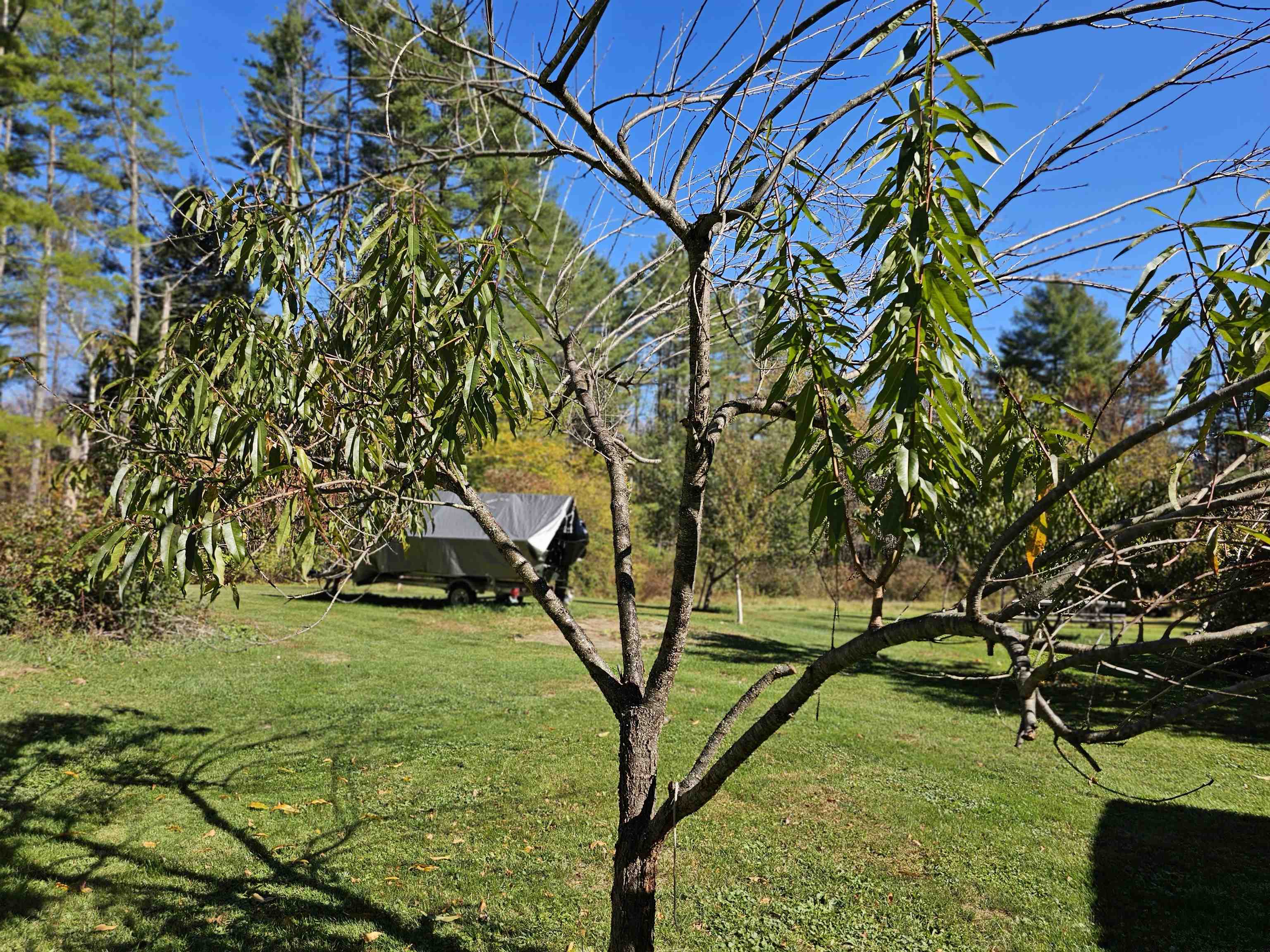 818 Davidson Hill Road Chester, VT 05143 - Photo 25 of 39