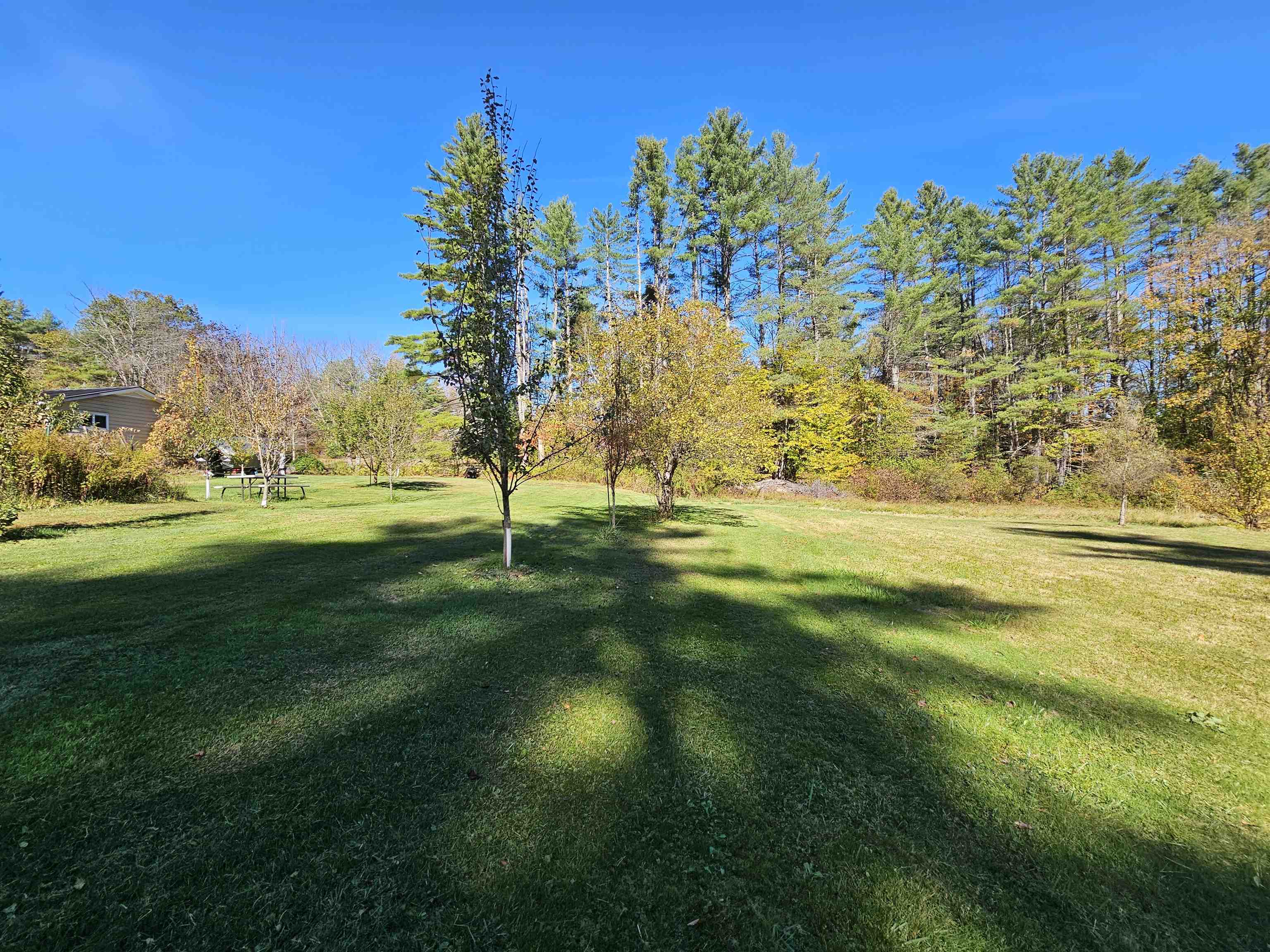 818 Davidson Hill Road Chester, VT 05143 - Photo 29 of 39