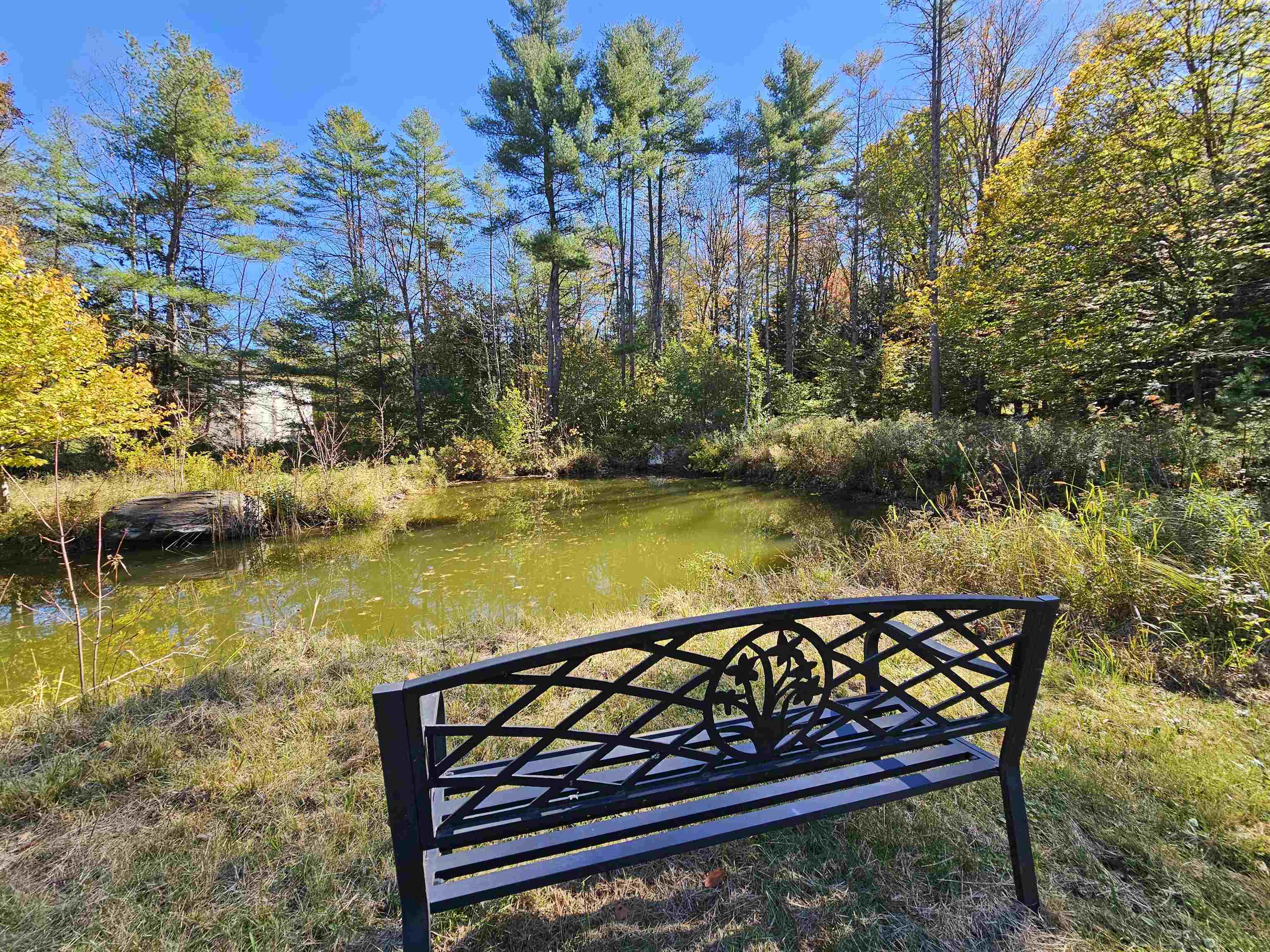 818 Davidson Hill Road Chester, VT 05143 - Photo 30 of 39