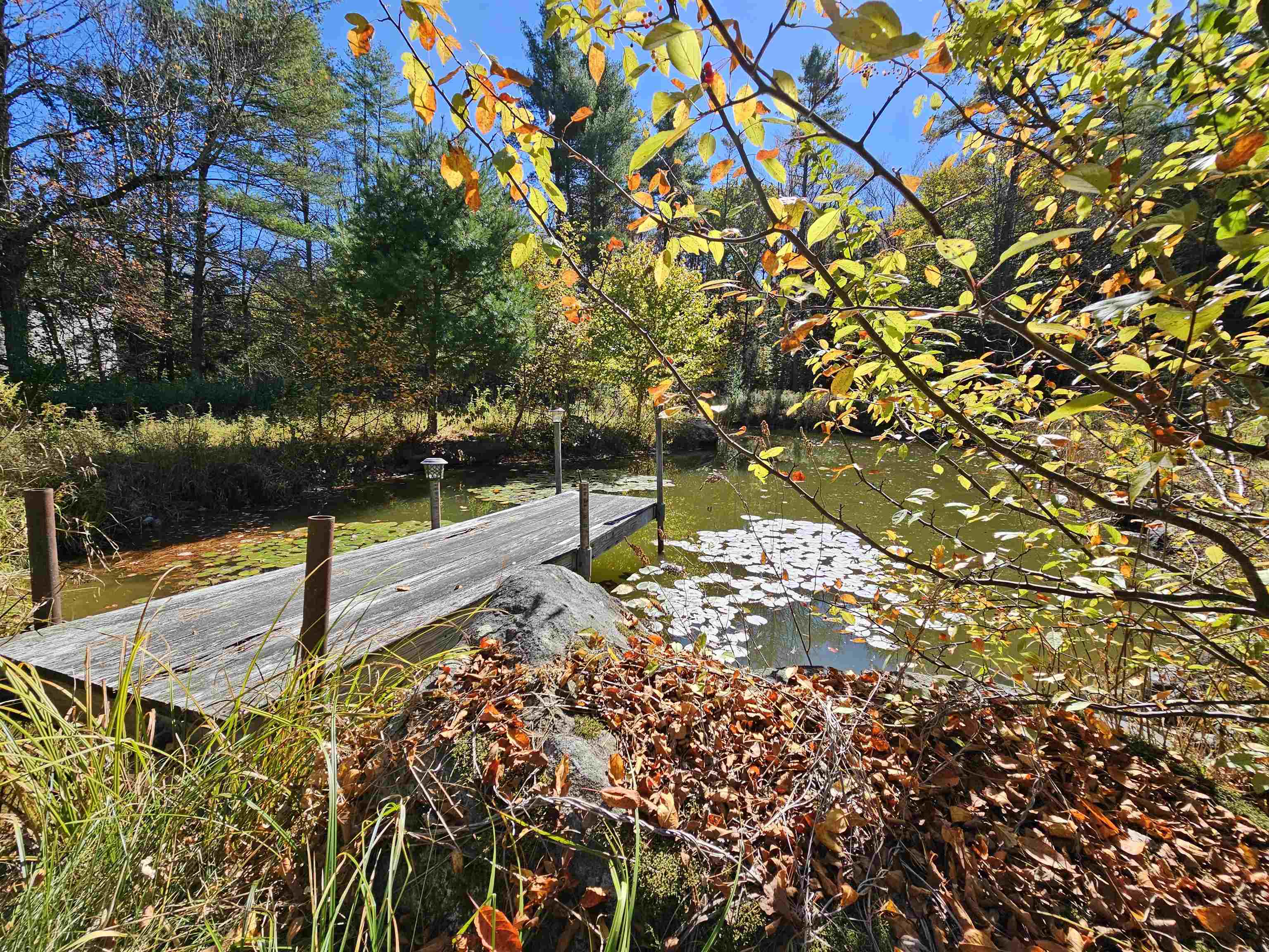 818 Davidson Hill Road Chester, VT 05143 - Photo 32 of 39