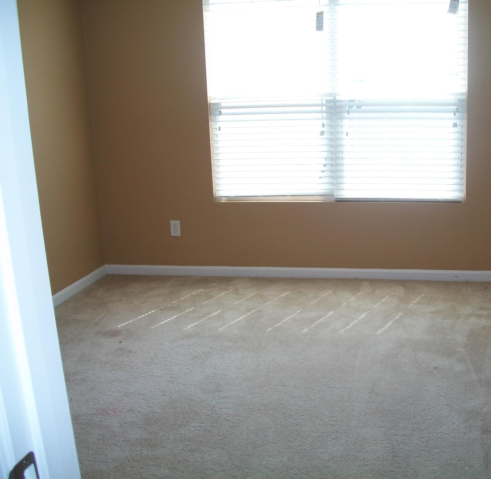 360 Deep River Road Summerville, SC 29486 - Photo 13 of 45 Bedroom Downstairs
