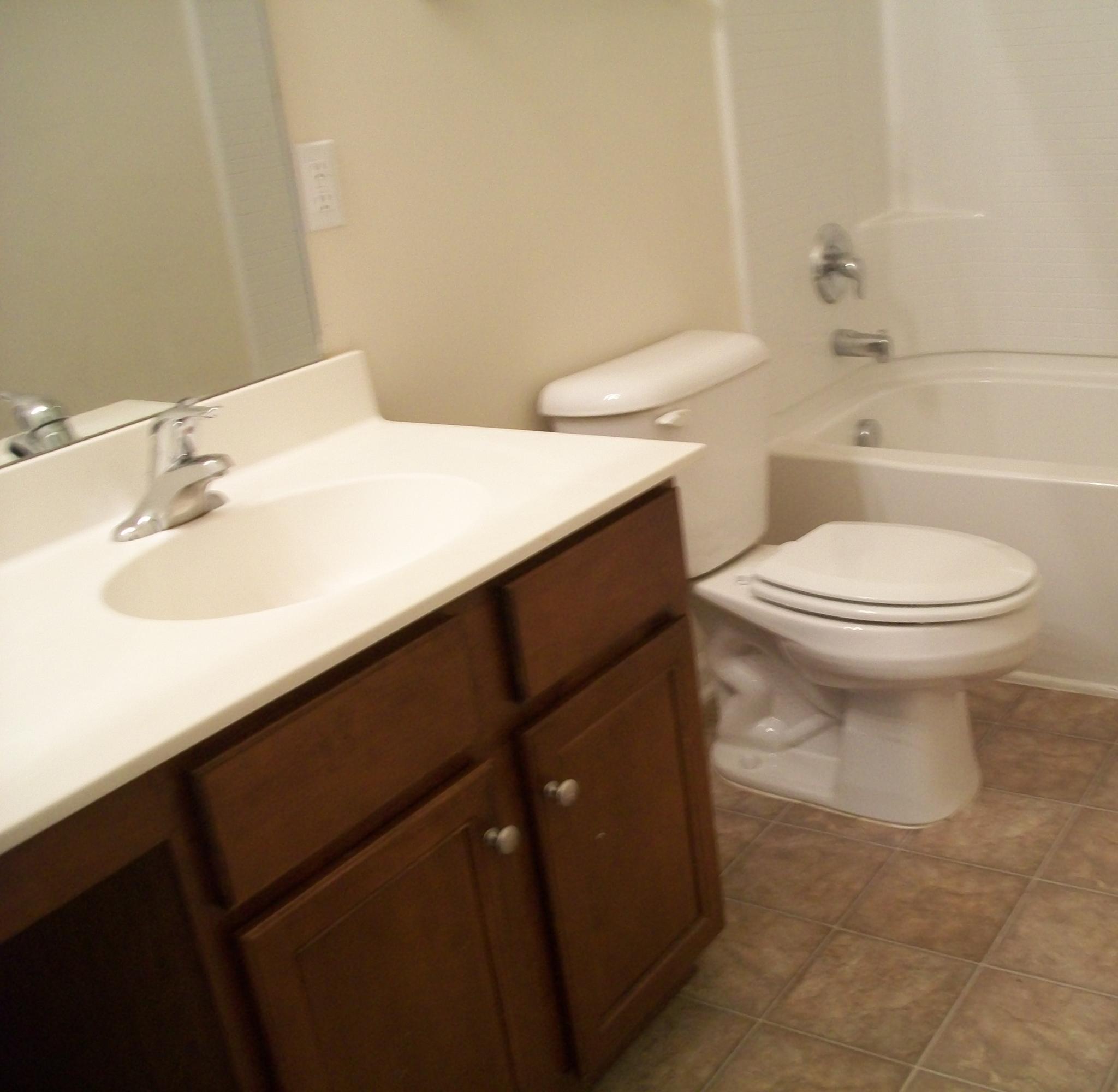 360 Deep River Road Summerville, SC 29486 - Photo 17 of 45 Full Bathroom Dowmstairs