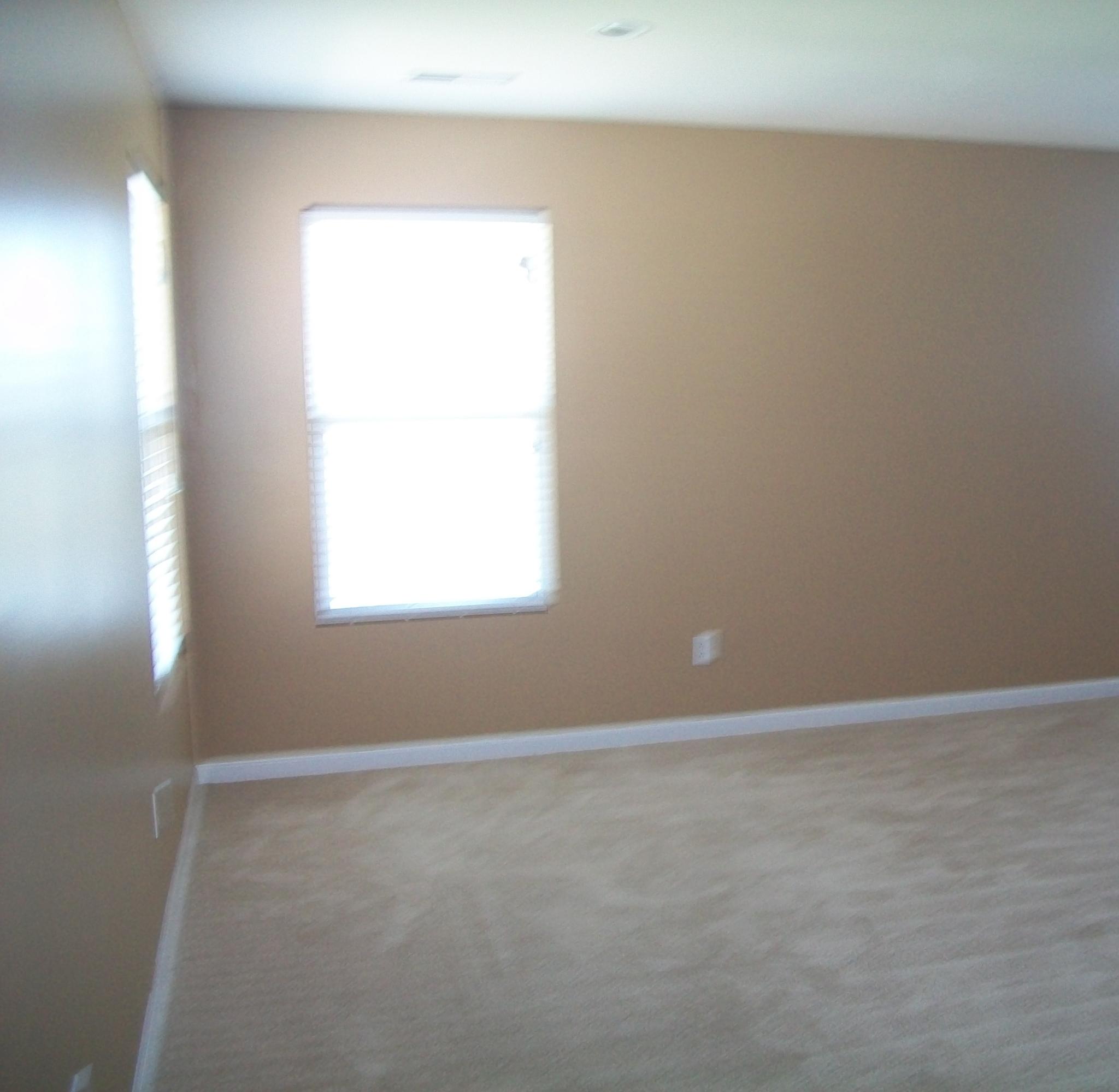 360 Deep River Road Summerville, SC 29486 - Photo 19 of 45 Master Bedroom