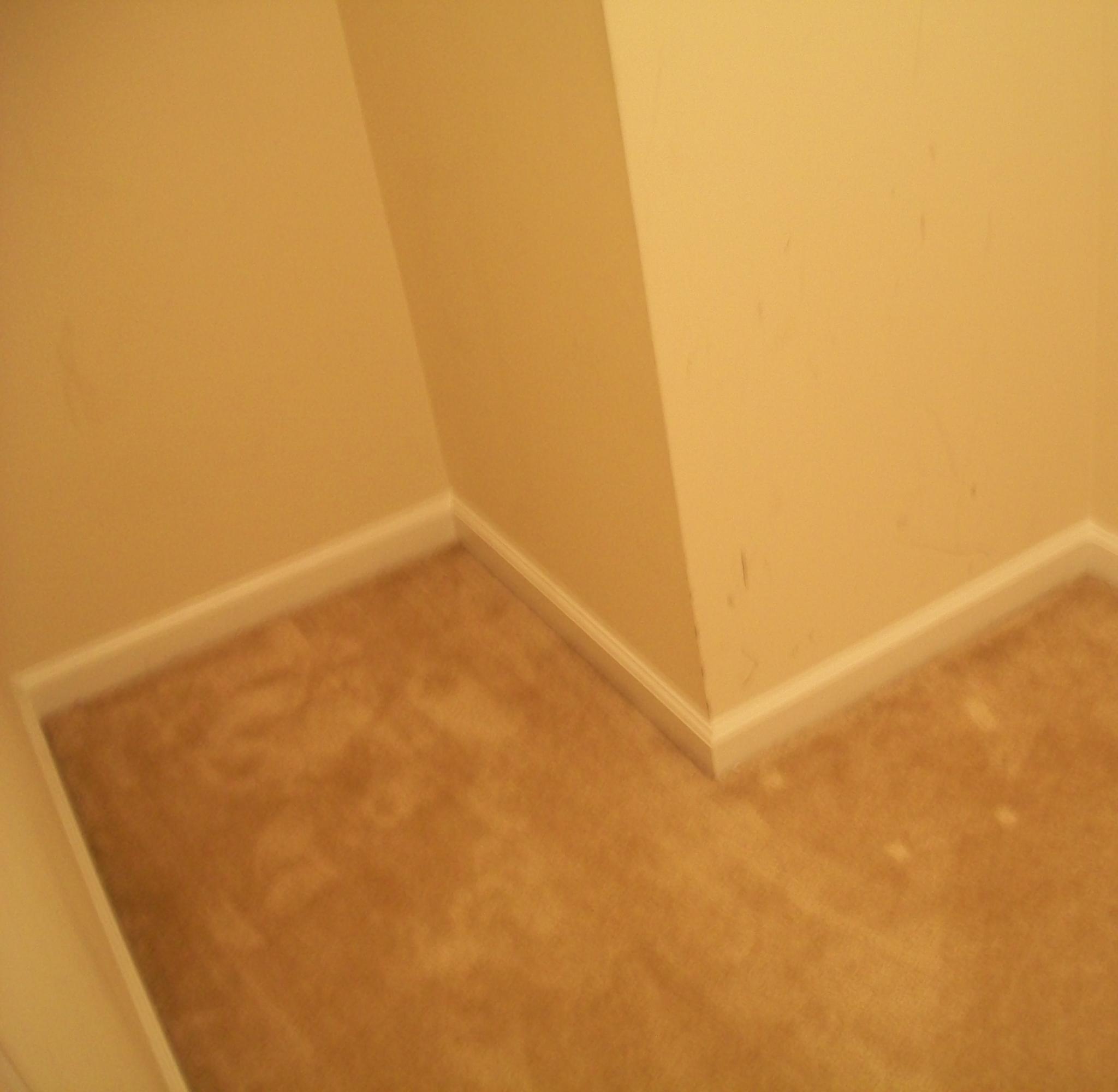 360 Deep River Road Summerville, SC 29486 - Photo 28 of 45 Hall Closet