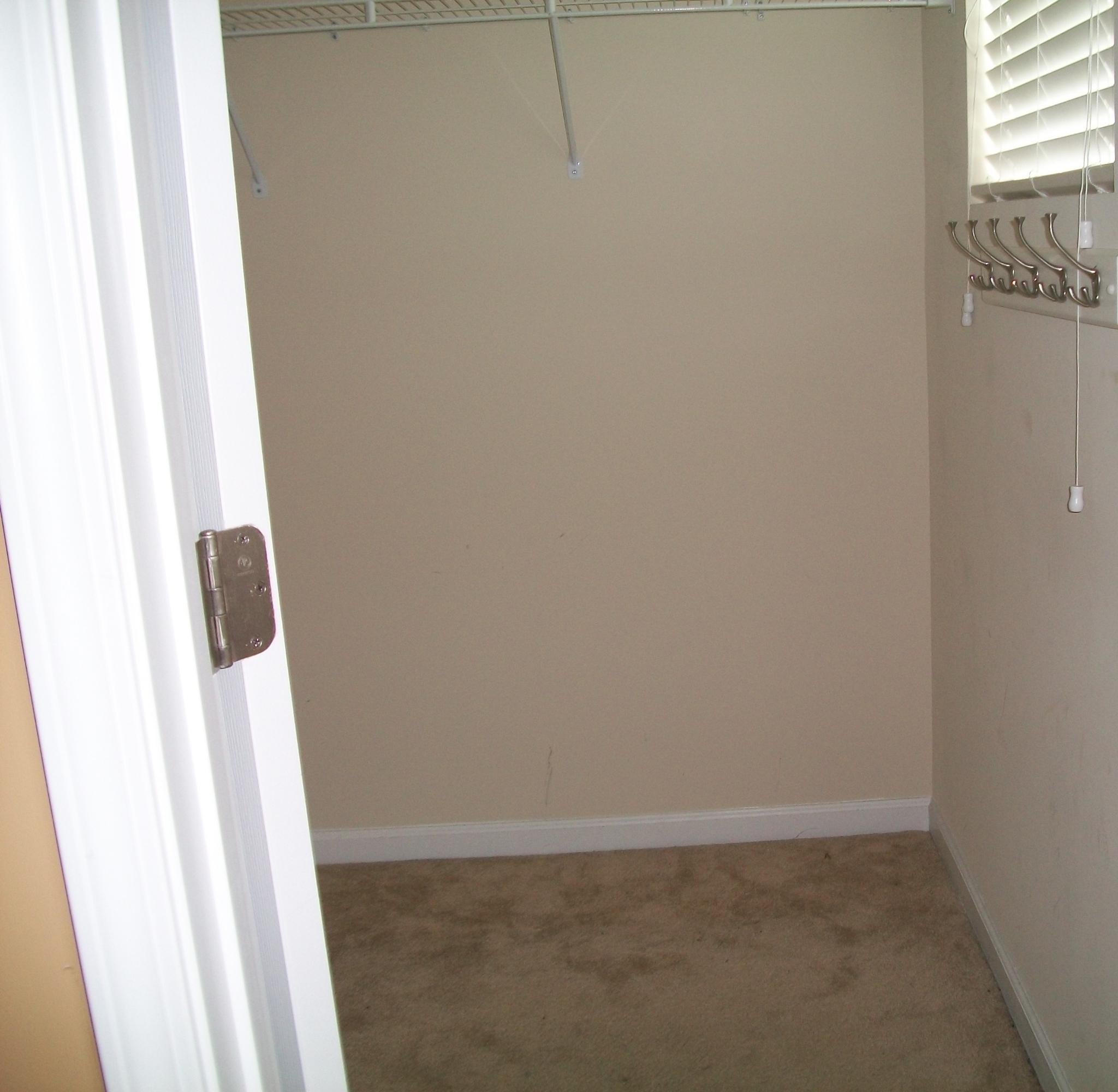 360 Deep River Road Summerville, SC 29486 - Photo 32 of 45 Bedroom with walk-in closet