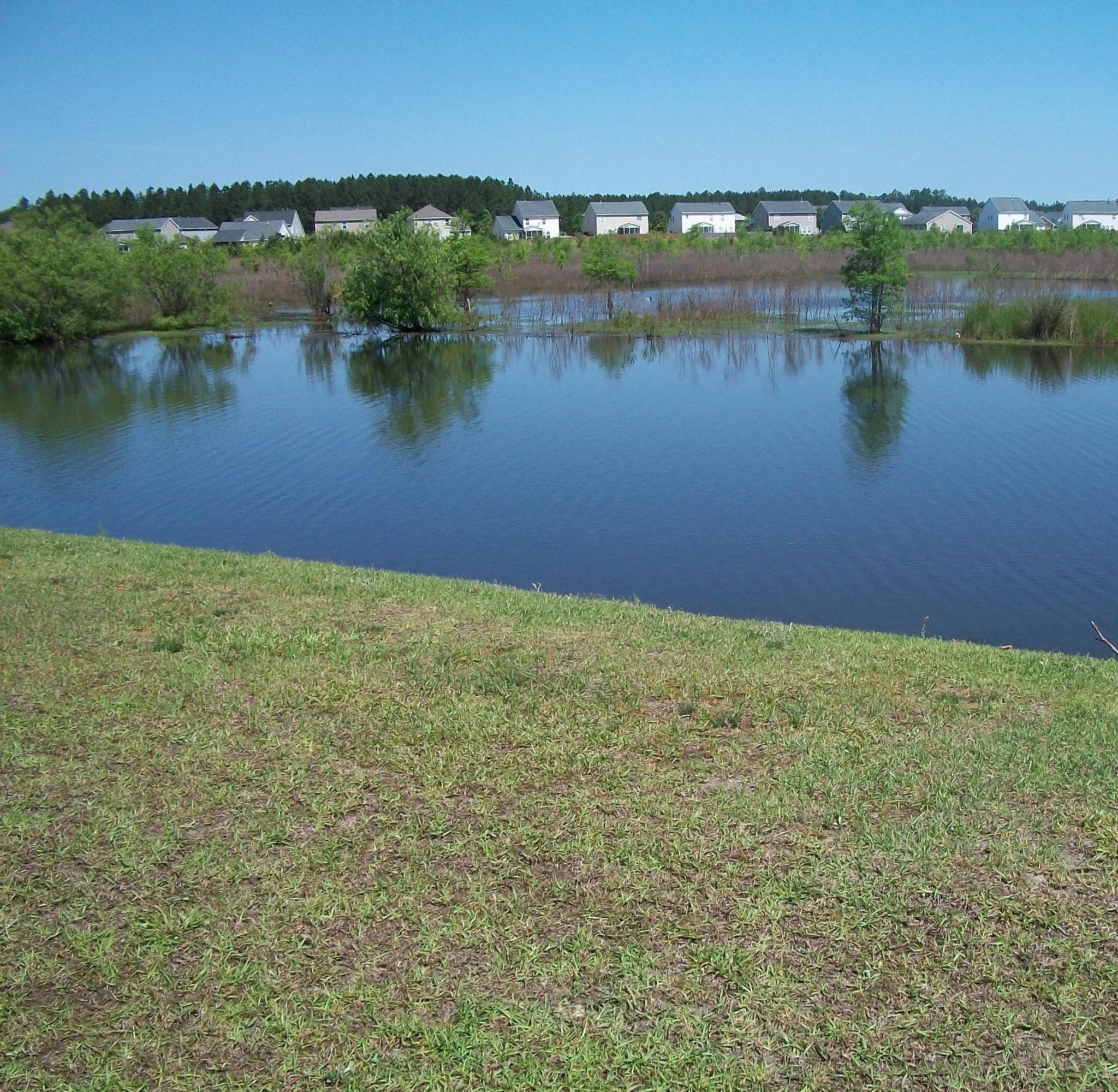 360 Deep River Road Summerville, SC 29486 - Photo 44 of 45 Beautiful Pond