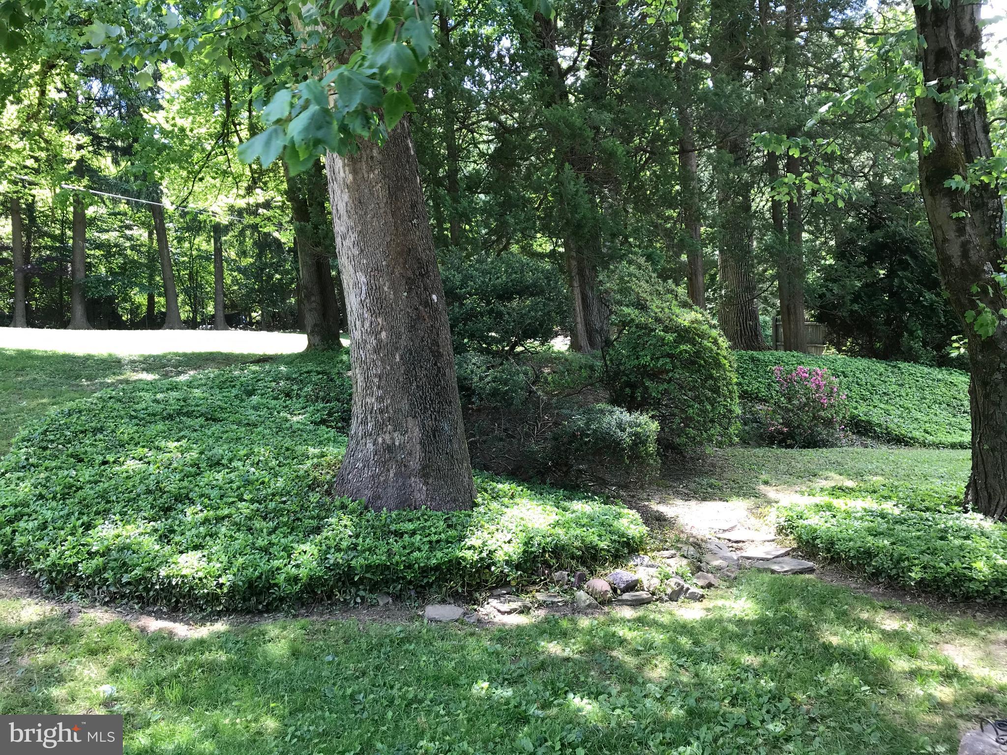 941 Croton Road Wayne, PA 19087 - Photo 3 of 13