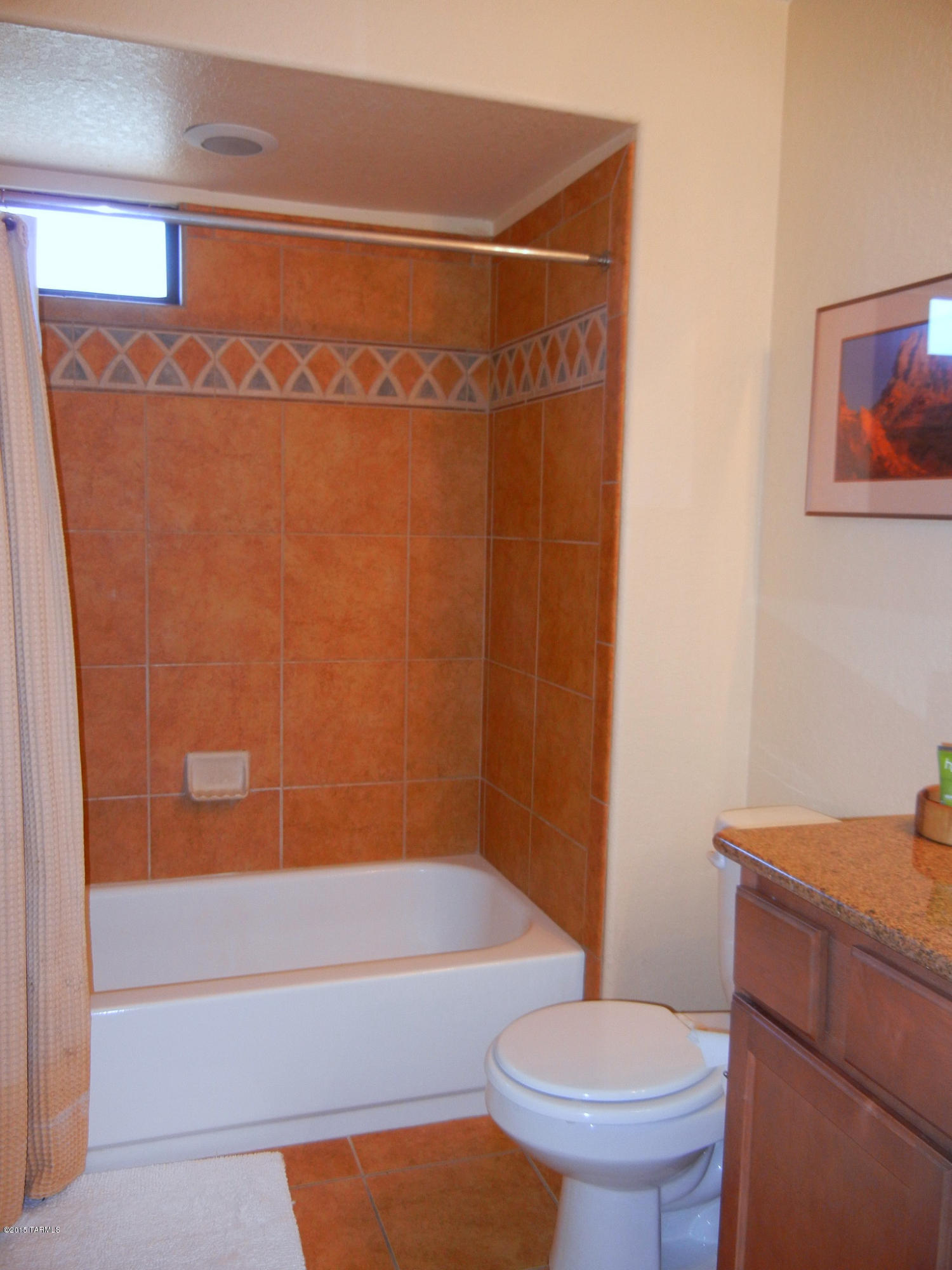 5800 North Kolb Road, Unit 8245 Tucson, AZ 85750 - Photo 11 of 19