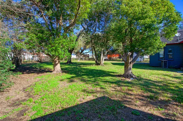 a view of a backyard with large trees