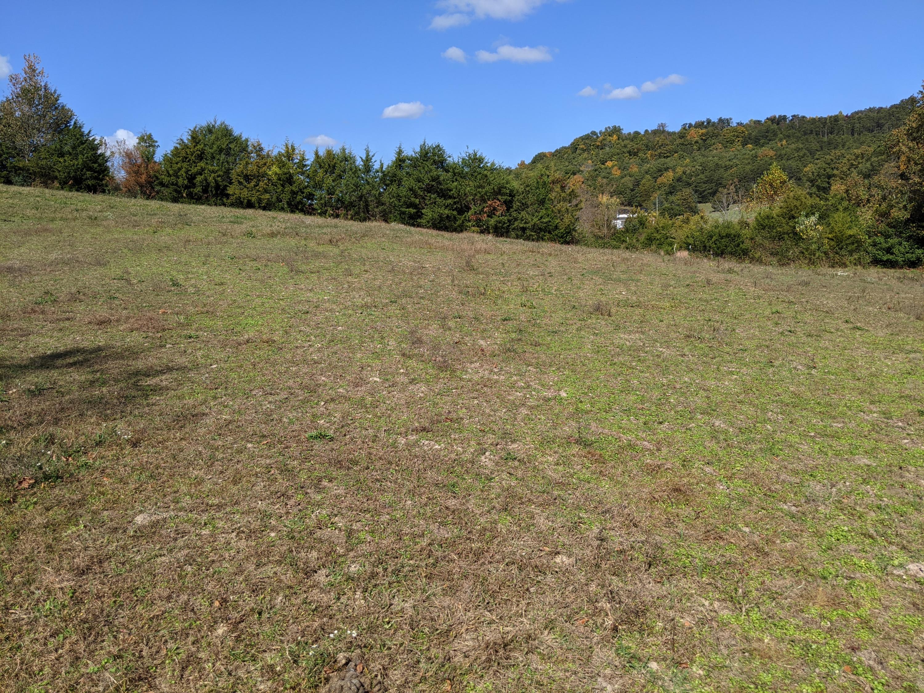 0 White Sands Road, Unit 31 Greeneville, TN 37743 - Photo 11 of 41 PXL_20201022_170830866
