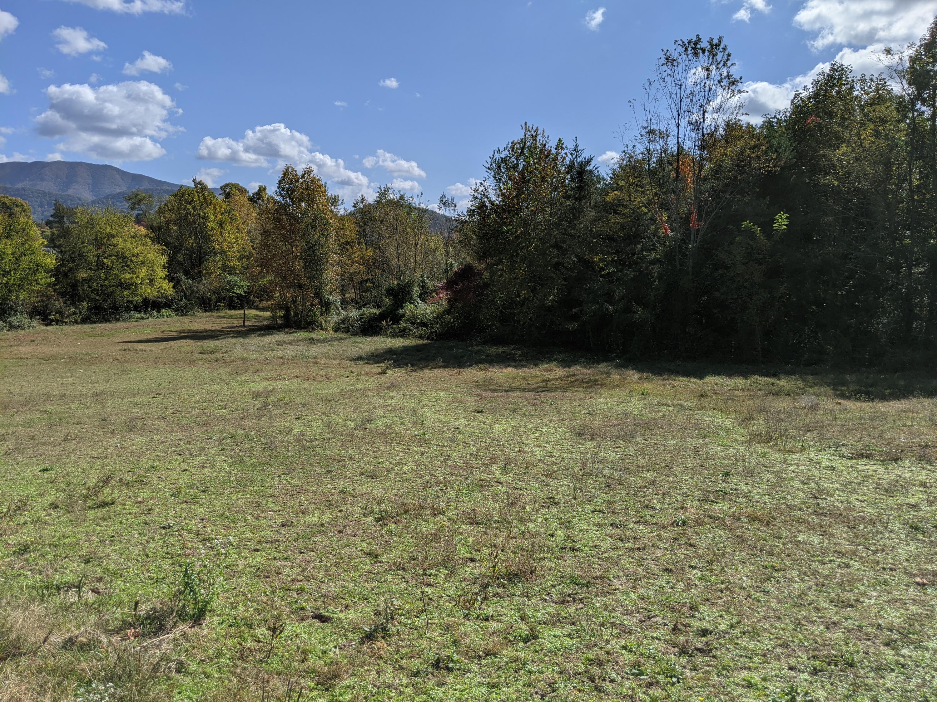 0 White Sands Road, Unit 31 Greeneville, TN 37743 - Photo 12 of 41 PXL_20201022_170903332