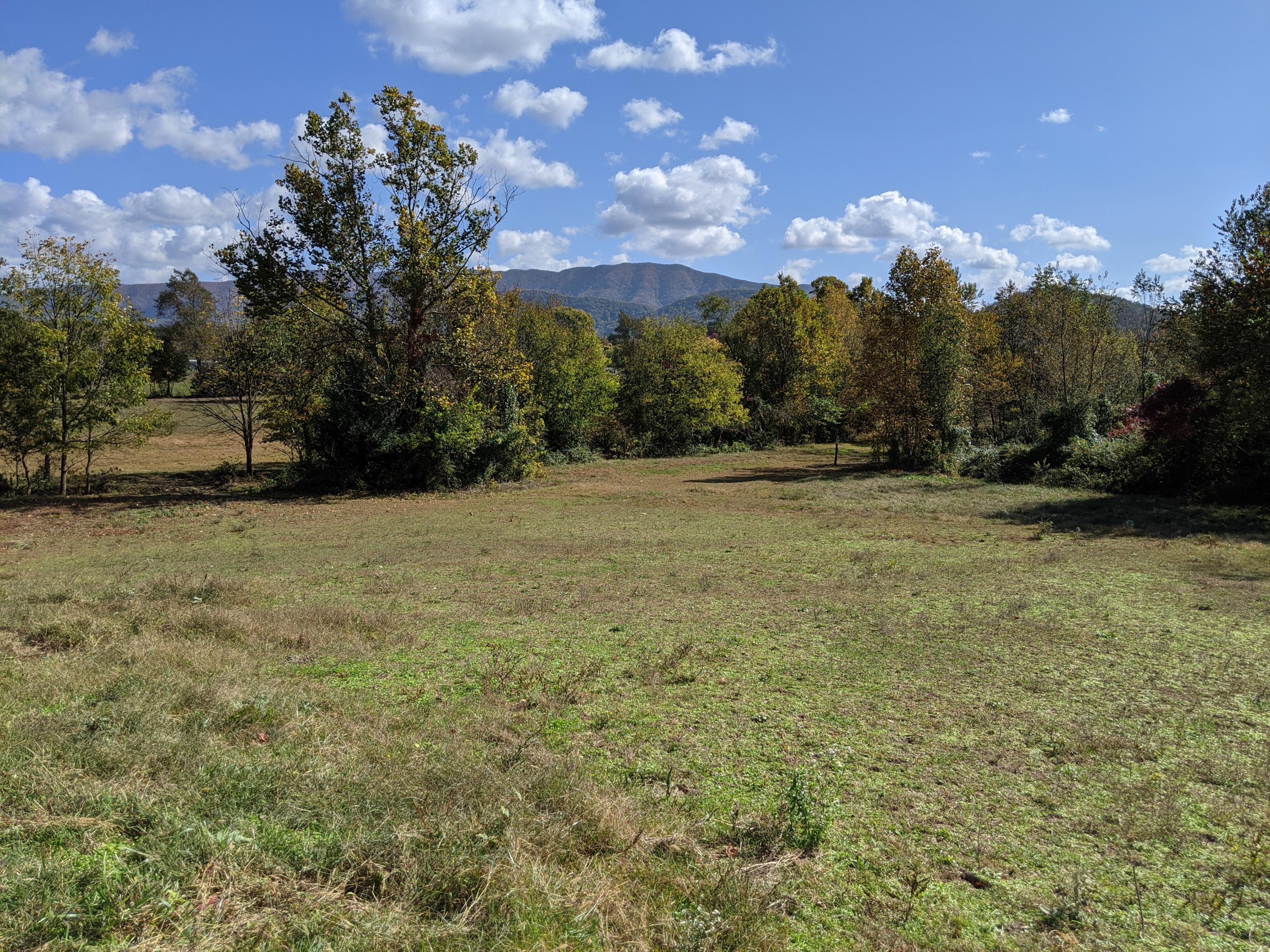 0 White Sands Road, Unit 31 Greeneville, TN 37743 - Photo 13 of 41 PXL_20201022_170904747
