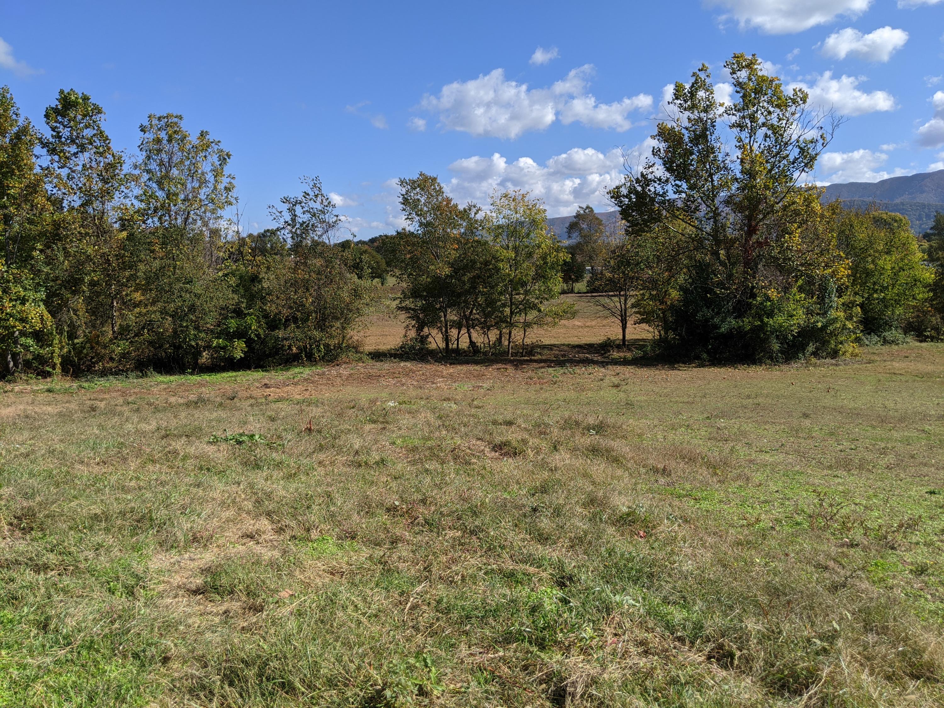 0 White Sands Road, Unit 31 Greeneville, TN 37743 - Photo 14 of 41 PXL_20201022_170906674